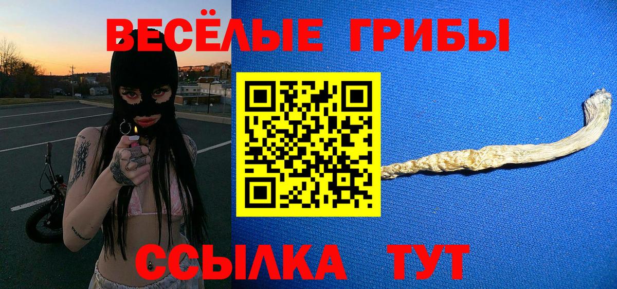 Дербент  Галлюциногенные грибы MAGIC MUSHROOMS  Вход с VPN 